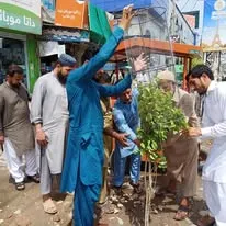 Green Seekers Activity